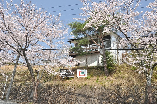 大型棟と桜