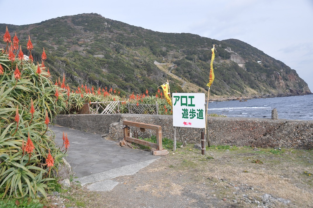 海沿いの遊歩道