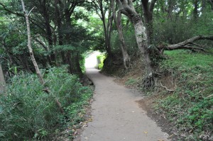 恋人岬へいく途中