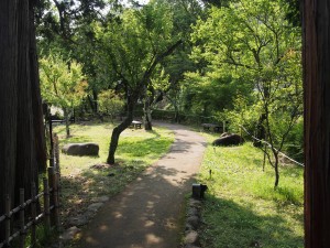 修善寺　赤蛙公園遊歩道　ほたる鑑賞