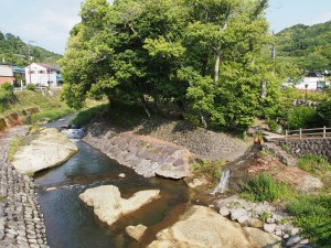 修善寺　赤蛙公園渓流　ほたる鑑賞