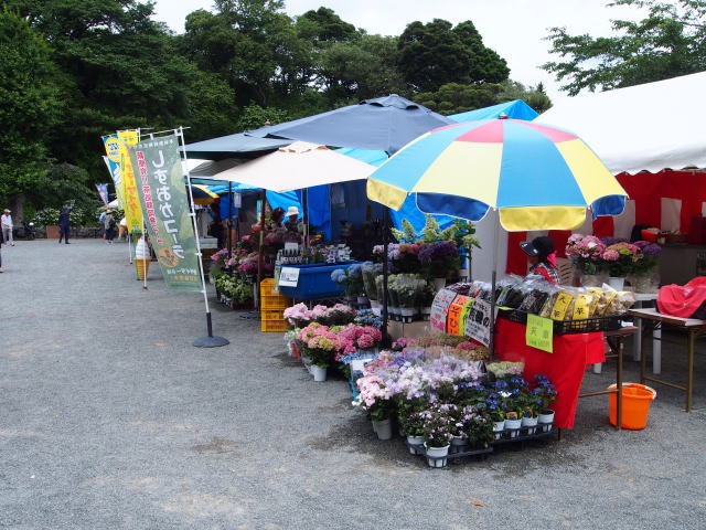 伊豆下田・2017あじさい祭り/地場産品の販売