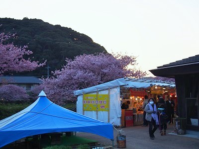 みなみの桜と菜の花祭りの出店の様子