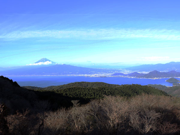 達磨山