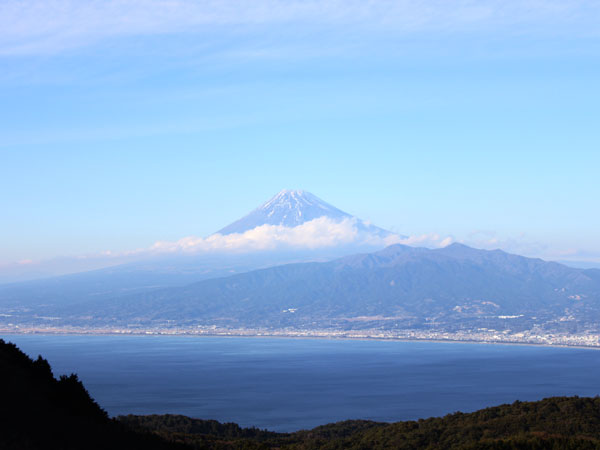 達磨山