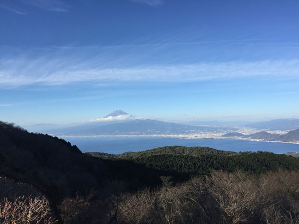 達磨山