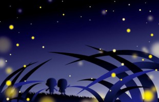 firefly-10