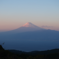 達磨山からの富士山