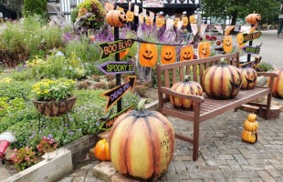 halloween-01