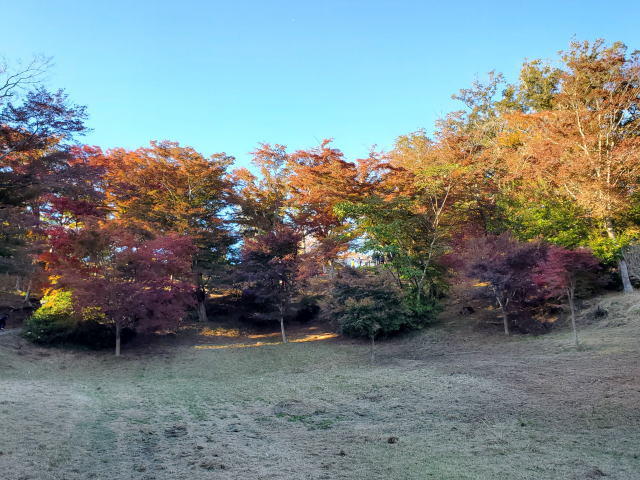 izu-autumn-03