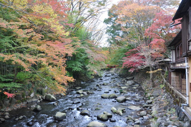 izu-autumn-06
