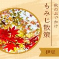 izu-autumn-08