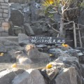 izu-cactus-park-01