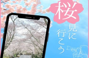 izu-cherryblossoms-10