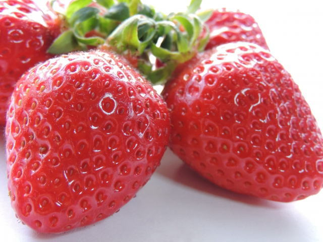 izu-strawberry-03