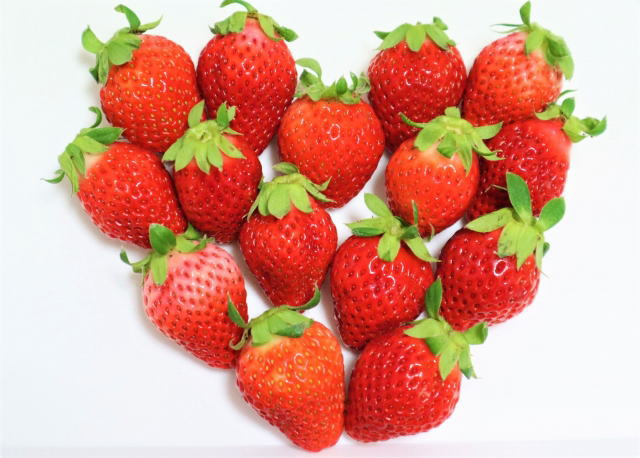 izu-strawberry-04