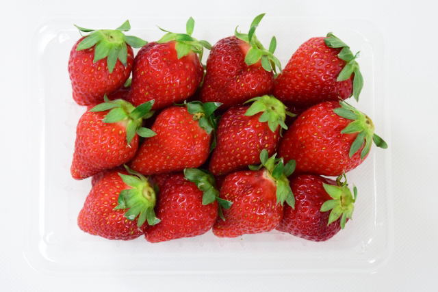 izu-strawberry-06