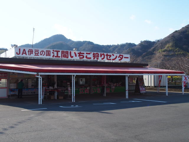 izu-strawberry-08