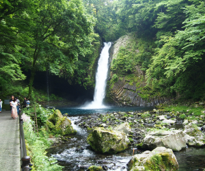 浄蓮の滝全景