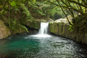 河津七滝　エビ滝