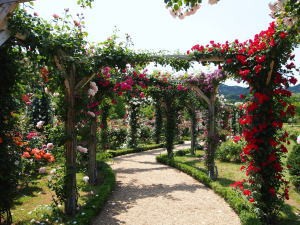 河津バガテル公園、80ｍトンネル02