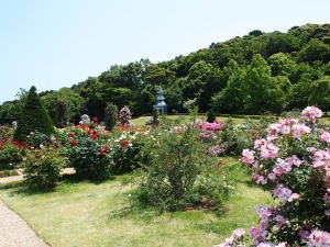 河津バガテル公園、公園内から「キオスク」