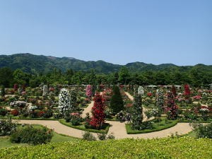 河津バガテル公園、「キオスク」からの景色