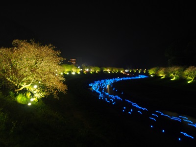 南伊豆町のみなみの桜と菜の花まつり