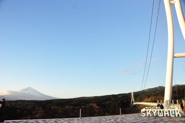 nightskywalk-02
