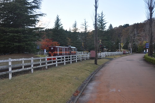 日本で唯一の１５インチゲージ鉄道が走っていますので、広い公園内の移動にご利用下さい。