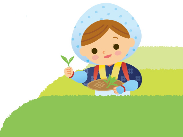 picking-03