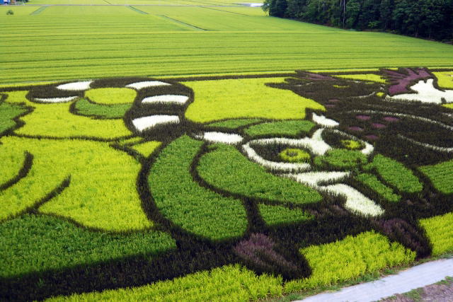 rice-field-art-01