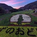 rice-field-art-03