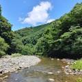 river-11