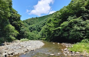 river-11