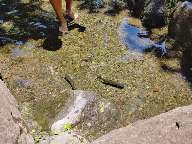 river-12
