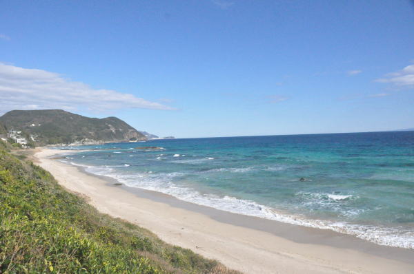 白浜中央海水浴場