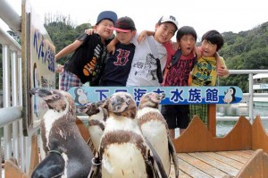 ペンギンの餌付けなども楽しめる　下田海中水族館