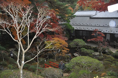 修禅寺の庭。公開は1年に1回のみ。回遊庭園になっています。