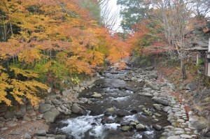 修善寺桂川と紅葉