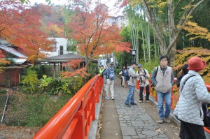 修善寺温泉街もにぎわいます