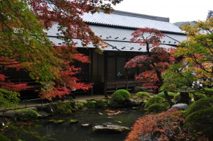 修善寺の庭園　特別公開