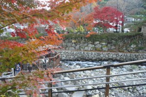 紅葉の独鈷の湯