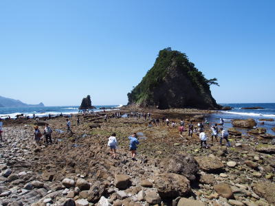 三四郎島周辺