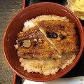 伊豆の名物　うなぎととろろ