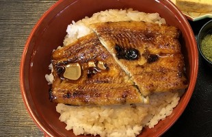 伊豆の名物　うなぎととろろ