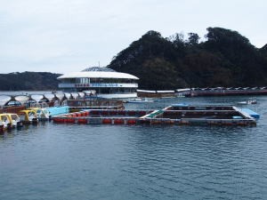 海の上に浮かぶ水族館・下田海中水族館