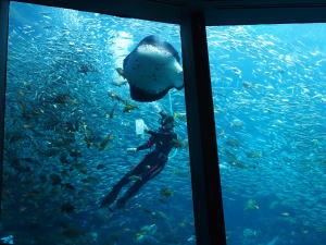 下田海中水族館・アクアドームペリー号