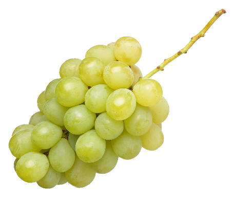 wine-03