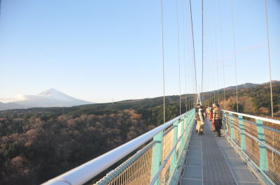 スカイウォークと富士山